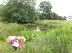 Botanical training and surveying